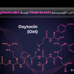 شرکت 0xytocin Labs اکوسیستم Chain Scouts را تصاحب کرد