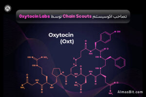شرکت 0xytocin Labs اکوسیستم Chain Scouts را تصاحب کرد